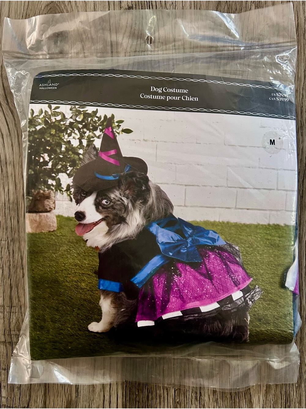 Ashland Black, Purple & Blue Dog Witch Costume